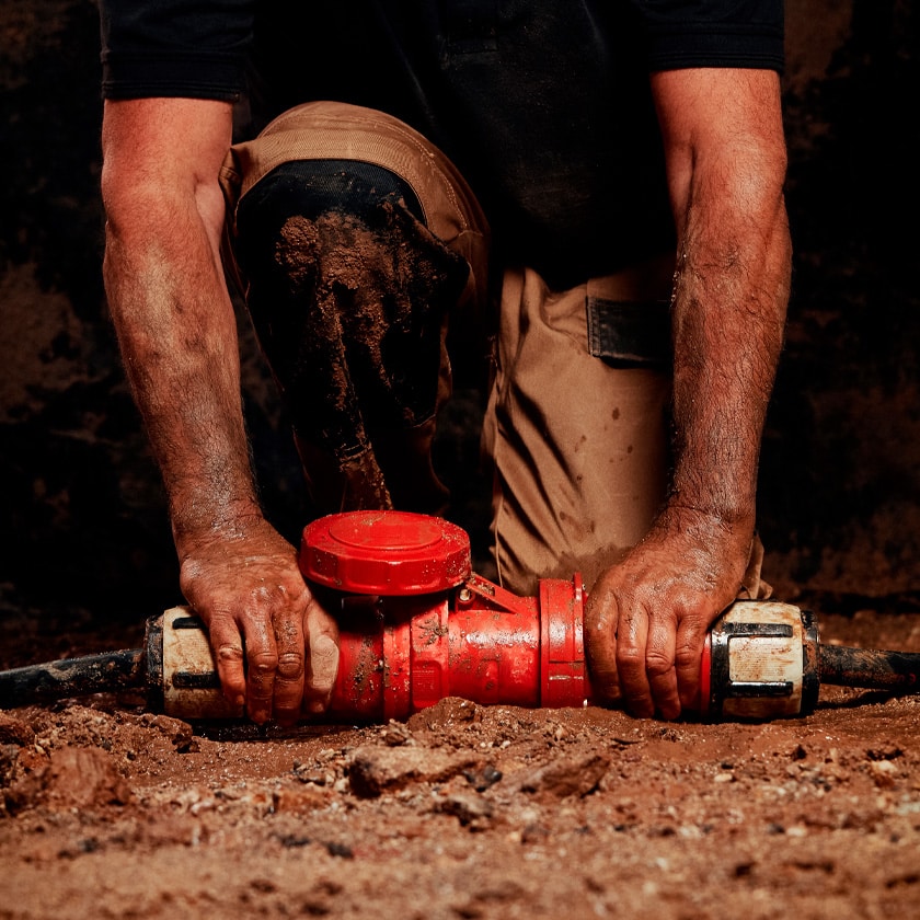 Productos para uso professional